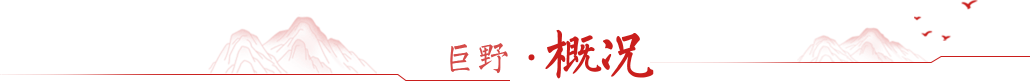 巨野概況