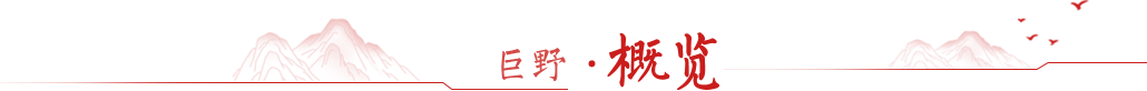 巨野概覽